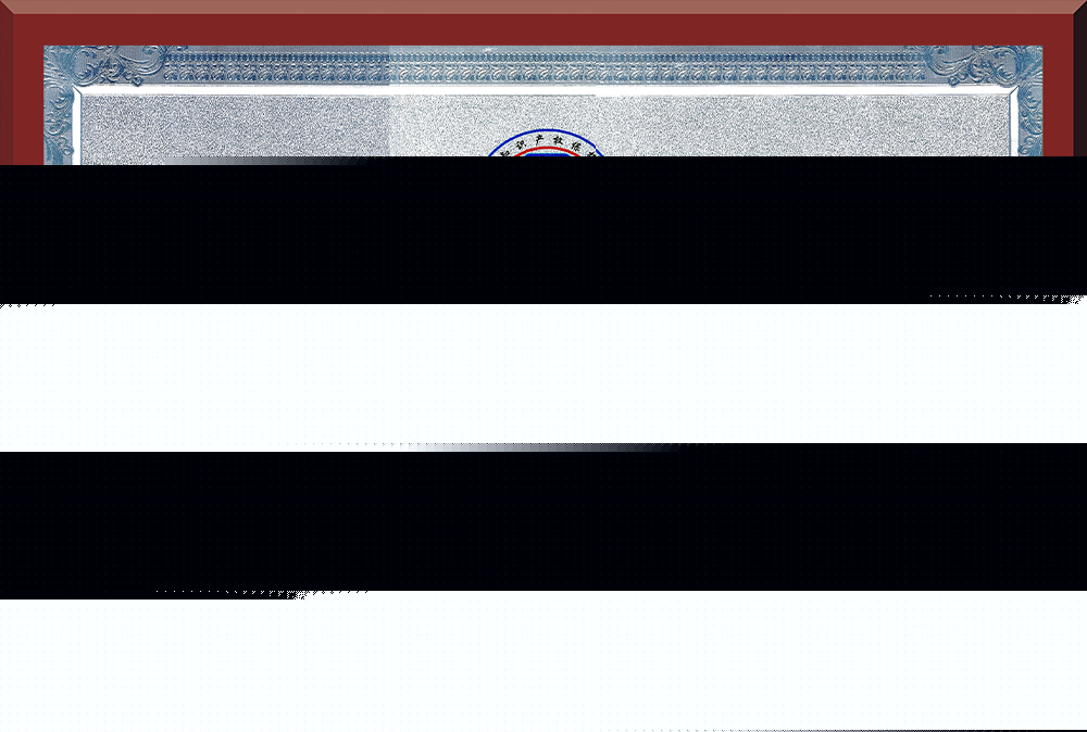 05、廣東省知識(shí)產(chǎn)權(quán)示范企業(yè)